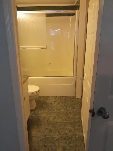 one bedroom basement apartment for rent Image# 1