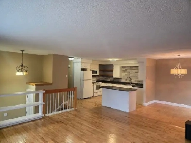 3 Bedroom Apartment next to Odell Park Image# 1