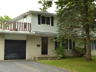 1 bedroom in a two story house for renting since May 1 Image# 1