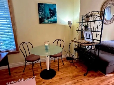 OPG or single professional Large room with kitchenette Image# 1