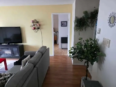 2 beds 1  bath - Apartment Image# 3