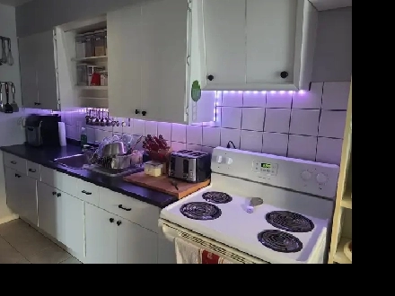 BEAUTIFUL RENOVATED 2 BDR APT. - HEAT INCL. - APRIL 1 Image# 5