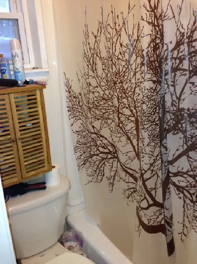 1 Bedroom Queen's apt - May 1 - Heat and water included Image# 2