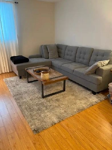 STE-THÉRÈSE, 3-1/2  RÉNOVÉ Image# 4