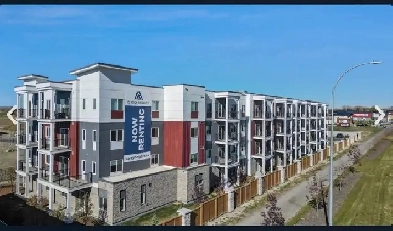 1 bedroom apartment  DArcy Heights