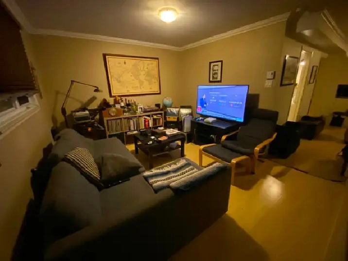 Grand 3 ½ à louer – Disponible maintenant - St-Sauveur, Québec