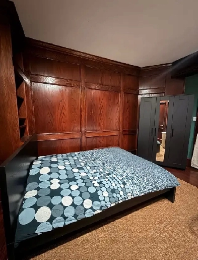 YongeFinch Roommate Basement