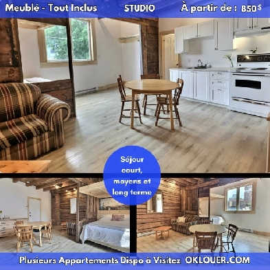 STUDIO MEUBLE-TOUT INCLUS EN CENTRE VILLE Image# 1