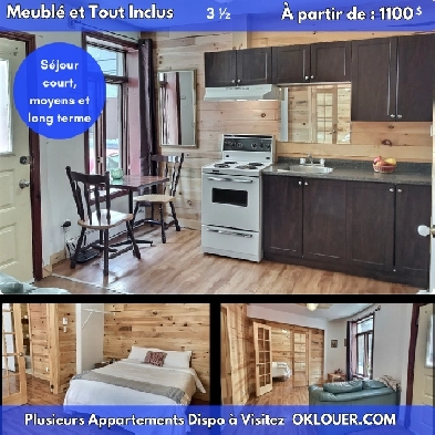 APPARTEMENT 1 CHAMBRE 3 1/2  MEUBLÉ-TOUT INCLUS, CENTRE VILLE Image# 1