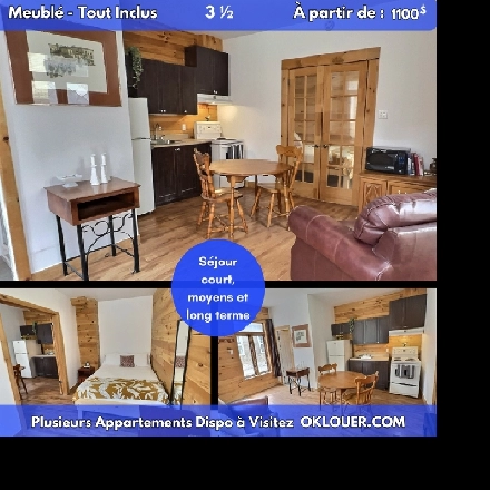 APPARTEMENT TOUT INCLUS-MEUBLÉ 1 CHAMBRE 3 1/2 A SAINT-ROCH Image# 1