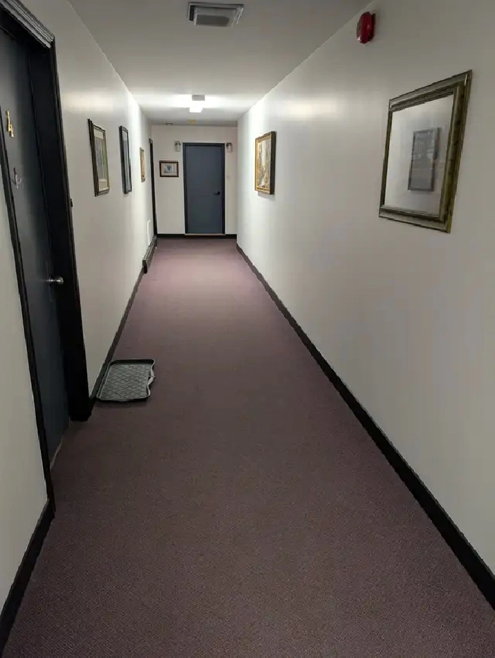 Newly renovated two bedroom