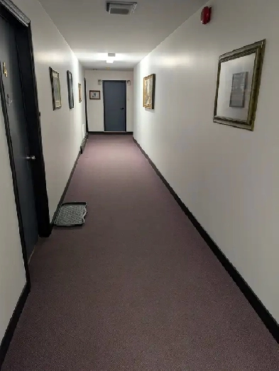 Newly renovated two bedroom