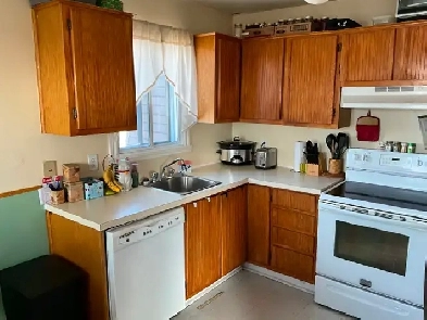 4.5 Repentigny, grand, propre, 3e étage, 1 juil ou avant Image# 3