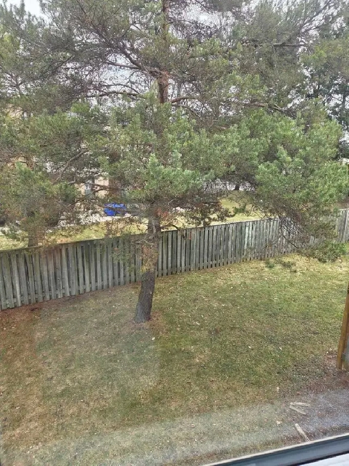 Room For Rent April 01