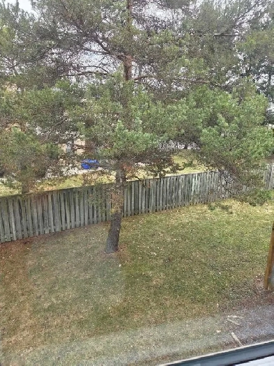 Room For Rent April 01