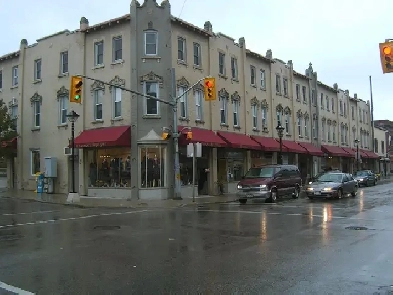 Newly renovated small 1 bedroom and Bachelor apartments