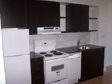 Bachelor Condo at Yonge & Hayden. 35 Hayden st Image# 1