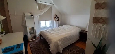 Grand 6 ½ dans un immeuble centenaire Image# 1