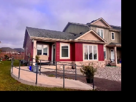 71 Pear Tree Image# 1