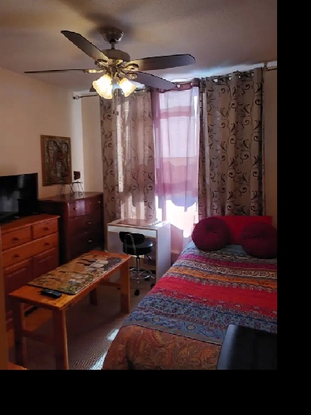 Privare room-West Mall and Bloor-TORONTO (HWY 427) Image# 5