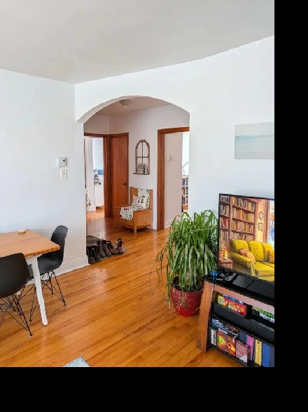 Grand 5 1/2, pour Juin/Juillet, duplex 2e étage, Villeray, Mtl Image# 1