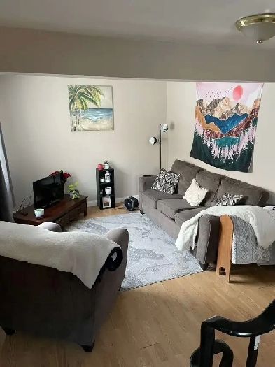 4 bedroom house , a step away from UNB and NBCC Image# 1