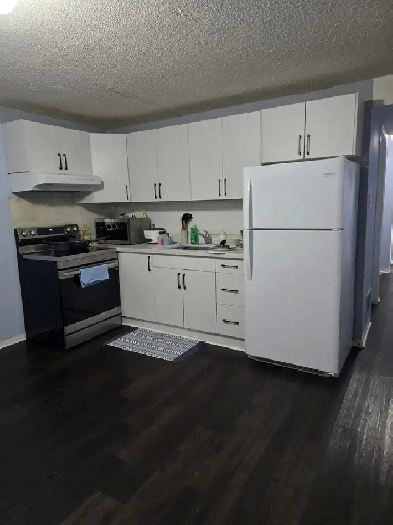 Basement Apartment for Rent