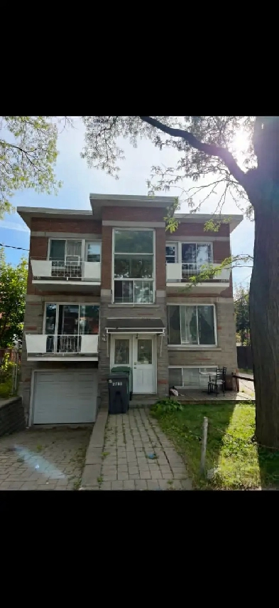 3 ½ à louer – 1150 $ / mois – mercier hochelaga maisonneuve Image# 1