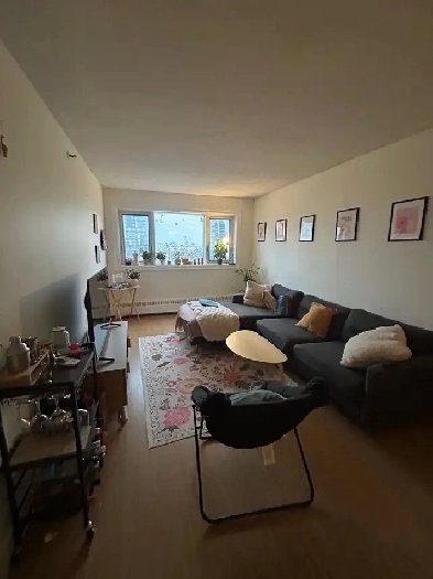 Private Bedroom in 3 Bed, 1 Bath Apartment Image# 8