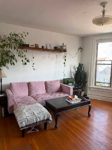 Large bright One Bedroom, Sydenham Ward, June 1 Image# 2