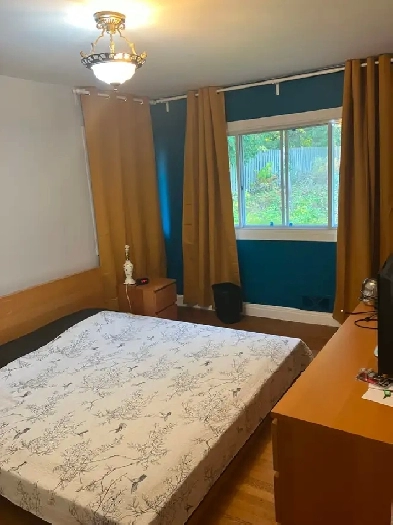 Room for rent-Baie d’Urfé 10 minutes walk from MacDonald McGill Image# 2