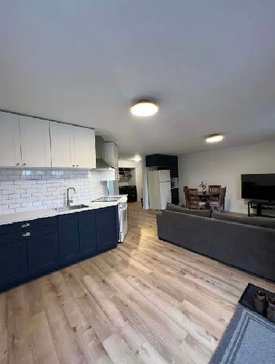 Appartement de 1 chambre et 1 salle de bain Image# 1