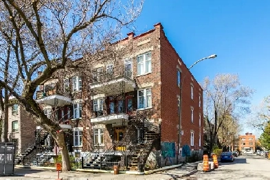 4 ½ rénové cachet 1920 – Grand, lumineux situé sur le plateau Image# 1