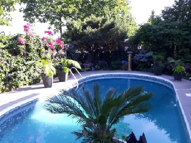 Private Furnished Room in Executive Home  Prime Location Trafa