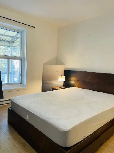 Bright Furnished Room - Downtown / Metro-$900-Short Term/Month Image# 1