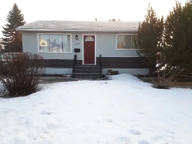 ABSOLUTE GEM OF A DEAL! Image# 3