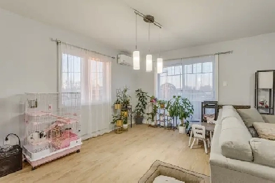 Très Grand et lumineux 4 ½ à louer, Construction 2023