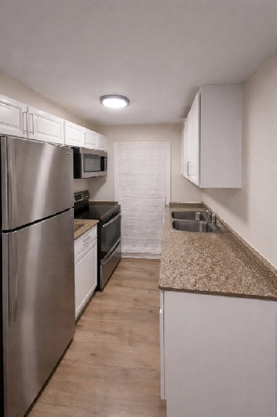 Bright Newly Renovated 1-Bedroom Apartment for Rent Image# 3