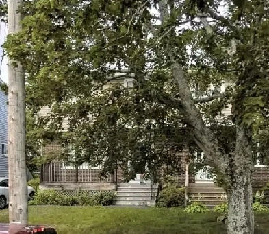 Hartlen Avenue - 4 BR, 2 BATH BEAUTIFUL FAMILY HOME AVAIL NOW! Image# 6