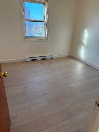 À louer 3 1/2 Delorimier Villeray pour Avril renové Image# 7