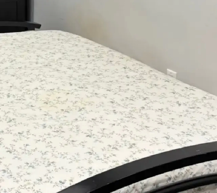 A shared/ furnished room for rent in Mississauga from March 1st