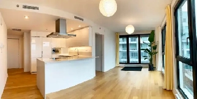 Old Montreal/Vieux Montréal/Old Port | 21e Corner Condo Big 3 1/ Image# 1