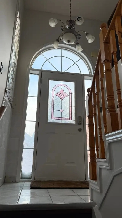 Pets are welcome so are their owners