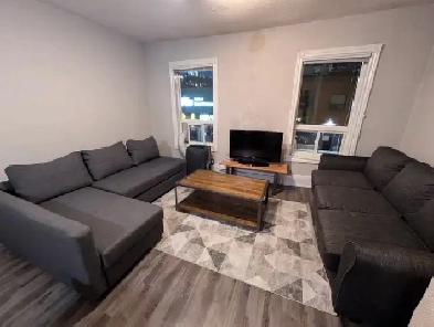 Furnished Room Downtown Near University of Toronto, TMU & TTC Image# 4