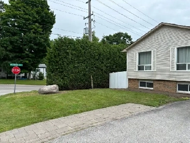 Orillia Room for rent, All Inclusive, Semi-Furnished Very Clean