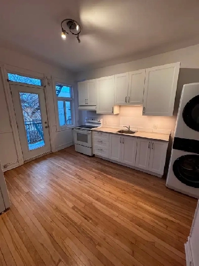 Superbe 4 1/2 au cœur du plateau - rue Laurier et st-Hubert Image# 1