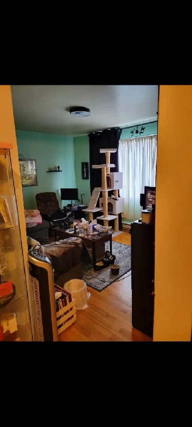 Logement 4 1/2 à louer à Pointe-aux-trembles Image# 1