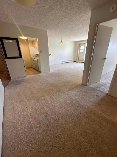 Downtown 1 Bed   Den Condo Image# 3