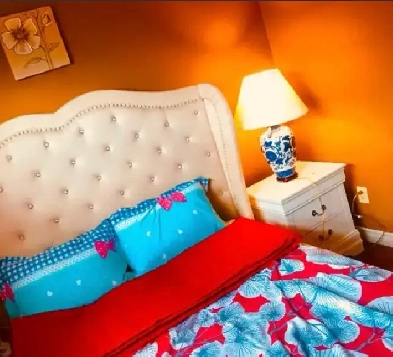 beautiful one bedroom at Victoria Park and Finch Image# 4