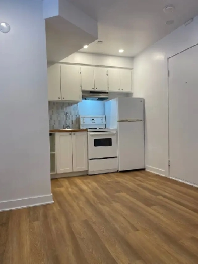 RÉNOVÉ-Appartement de 1 chambre et 1 salle de bain-À LOUER Image# 1
